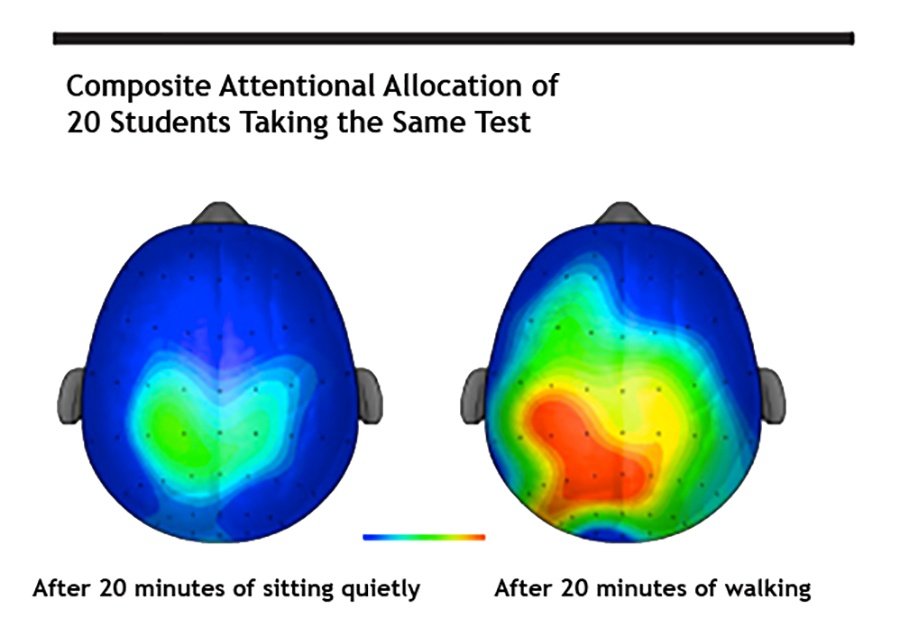 Brain scans pre and post activity