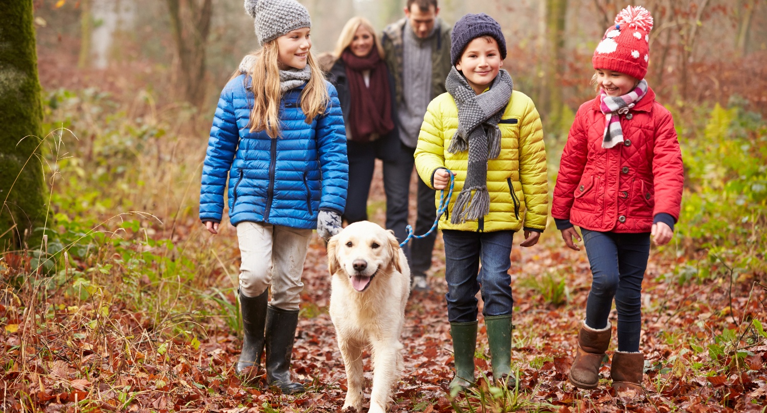 Family walks their dog in the woods in winter