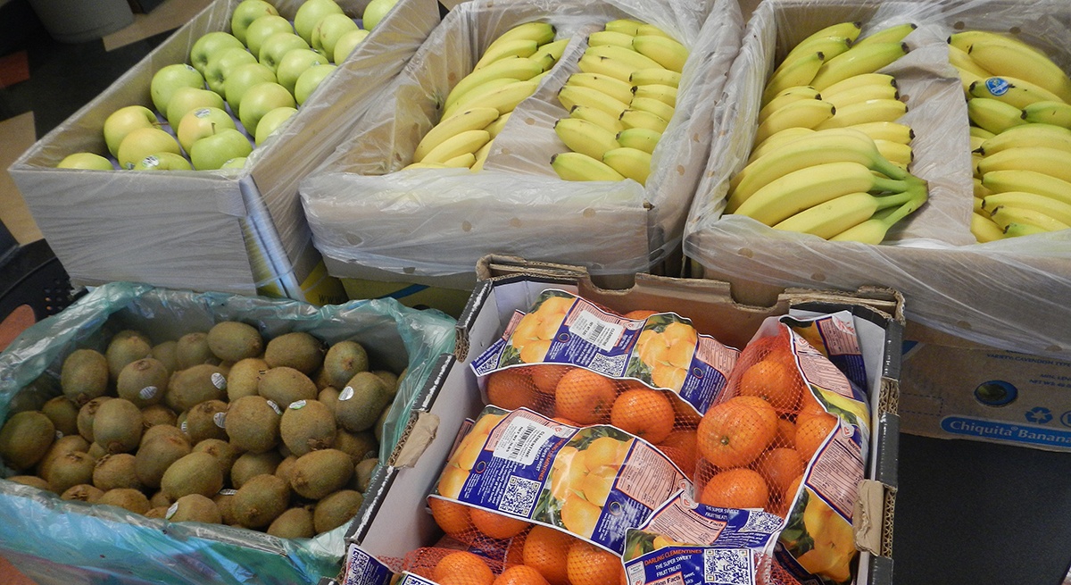 Fruit laid out in boxes at American Structurepoint