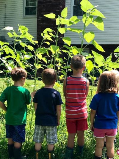 Young children learning about gardening